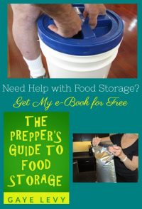 Need Help with Food Storage Get My e-Book for Free | Gaye Levy