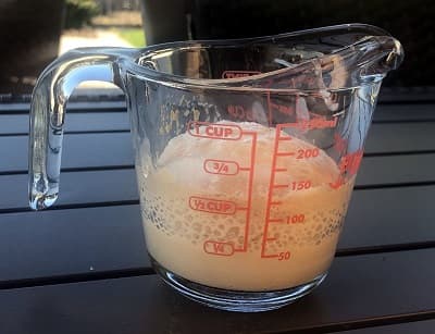 8 year old yeast bubbling when proofed